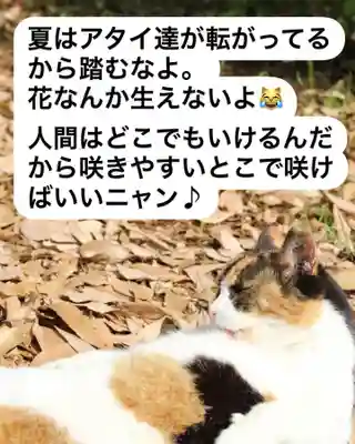 専念寺(大阪府)