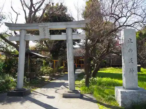 北野天神（仲六郷北野神社）の鳥居