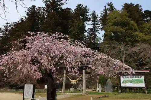 田村神社の鳥居