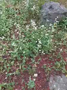 刺田比古神社(和歌山県)(2026年05月10日(日) 07時02分07秒投稿)