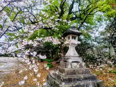 三明寺の{uncategorized: "未分類", other: "その他", undefined: "問題あり", building: "その他建物", grave: "お墓", sacred_gate: "鳥居", guardian: "狛犬", statue: "像", buddha: "仏像", history: "歴史", nature: "自然", garden: "庭園", animal: "動物", pagoda: "塔", temizu: "手水舎", mountain_gate: "山門・神門", sanctuary: "本殿・本堂", subordinate: "末社・摂社", art: "芸術", scenery: "景色", jizo: "地蔵", ema: "絵馬", goshuin: "御朱印", omikuji: "おみくじ", items: "授与品その他", amulet: "お守り", goshuincho: "御朱印帳", eats: "食事", festival: "お祭り", votive_dance: "神楽", shichigosan: "七五三参", wedding: "結婚式", experience: "体験その他", initially: "初詣", around: "周辺", anti_infection: "感染症対策"}