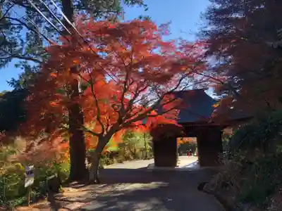 普門寺(切り絵御朱印発祥の寺)の山門・神門