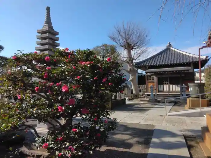 明王院の建物その他