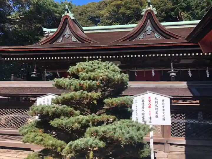 住吉神社のその他建物