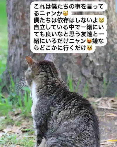 専念寺(大阪府)