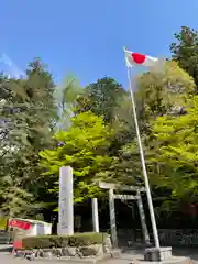 椿大神社の鳥居