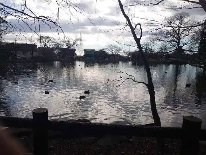 乃木神社の周辺