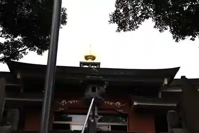 津照寺の本殿・本堂