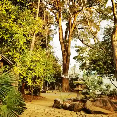 代々木八幡宮のその他建物