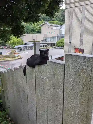 王子神社(徳島県)