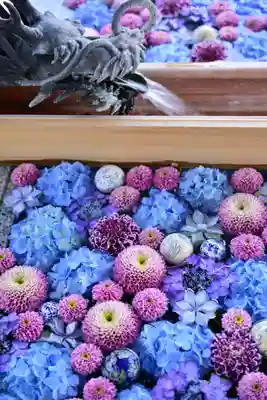 川越八幡宮の手水舎