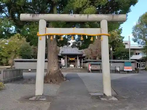 日吉浅間神社の鳥居