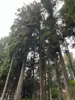 大宮温泉神社(栃木県)