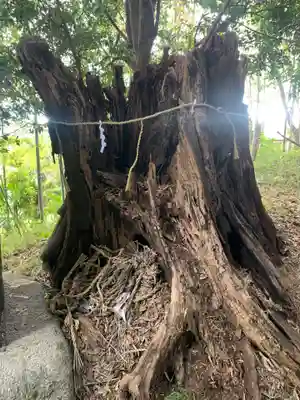 稲荷神社(千葉県)
