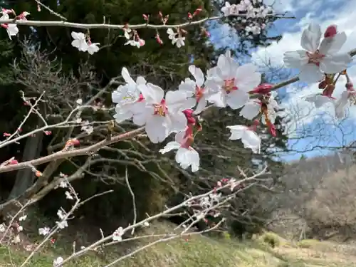 鹿島大神宮の御朱印