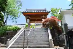 少林寺の山門