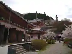 南法華寺（壷阪寺）(奈良県)