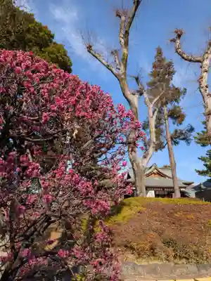 中野沼袋氷川神社(東京都)