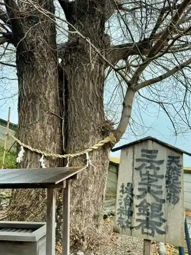 堤治神社の自然