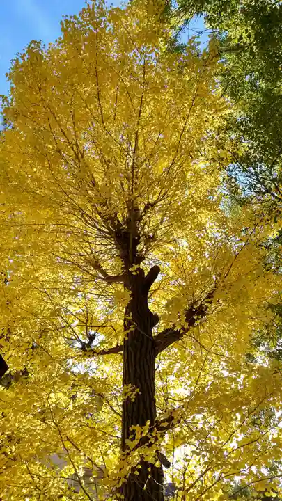 津嶋部神社(大阪府)