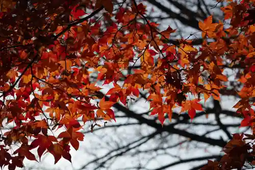 高野山金剛峯寺奥の院(和歌山県)