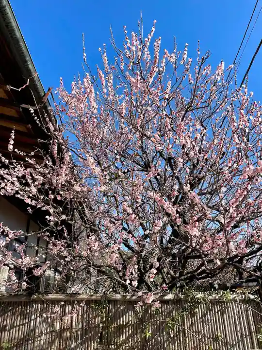 勝泉院(栃木県)
