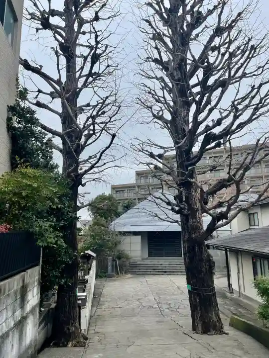専念寺の{uncategorized: "未分類", other: "その他", undefined: "問題あり", building: "その他建物", grave: "お墓", sacred_gate: "鳥居", guardian: "狛犬", statue: "像", buddha: "仏像", history: "歴史", nature: "自然", garden: "庭園", animal: "動物", pagoda: "塔", temizu: "手水舎", mountain_gate: "山門・神門", sanctuary: "本殿・本堂", subordinate: "末社・摂社", art: "芸術", scenery: "景色", jizo: "地蔵", ema: "絵馬", goshuin: "御朱印", omikuji: "おみくじ", items: "授与品その他", amulet: "お守り", goshuincho: "御朱印帳", eats: "食事", festival: "お祭り", votive_dance: "神楽", shichigosan: "七五三参", wedding: "結婚式", experience: "体験その他", initially: "初詣", around: "周辺", anti_infection: "感染症対策"}