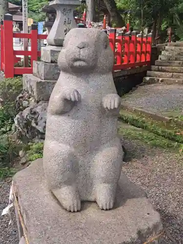 出雲大神宮の狛犬