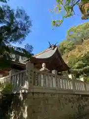 福良八幡神社の本殿