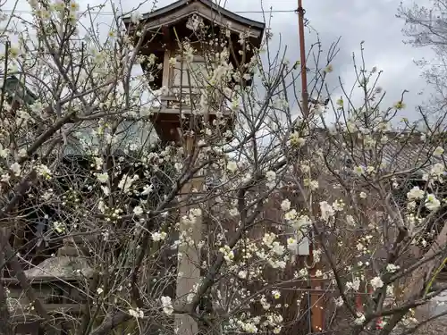 下御霊神社の自然