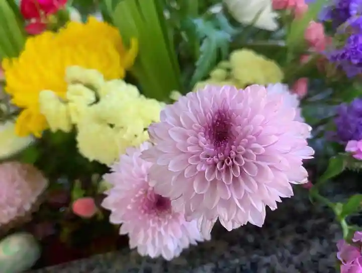 滑川神社 - 仕事と子どもの守り神の手水舎