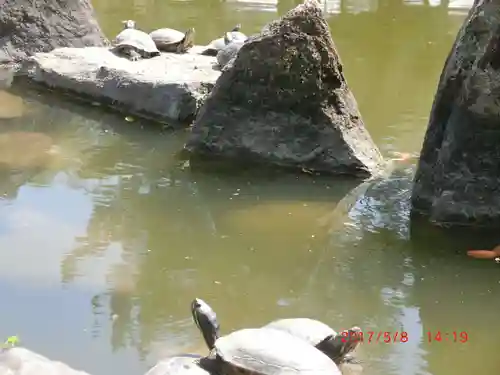 吉備津彦神社(岡山県)