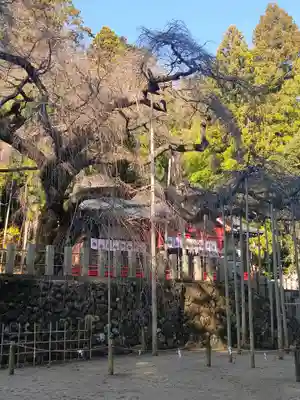 小川諏訪神社(福島県)