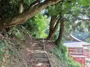 白狐山光星寺の周辺(2022年07月31日(日) 16時33分13秒投稿)