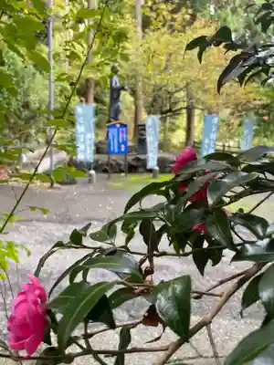 国上寺(新潟県)