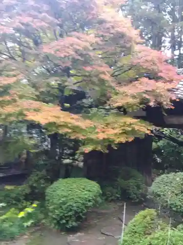 瑞鳳殿(宮城県)