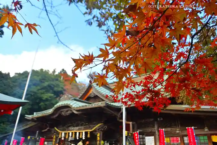 高尾山薬王院(東京都)