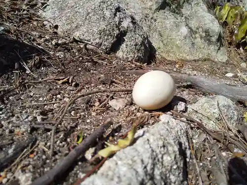 見塔寺(滋賀県)