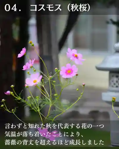 宝光寺(北海道)