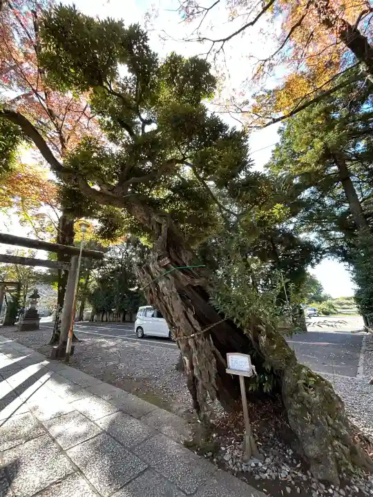 一言主神社(茨城県)