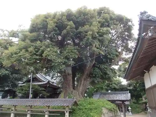 伊伎神社の建物その他