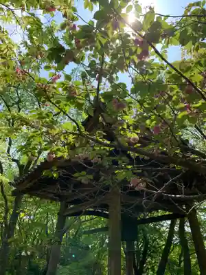 勝持寺（花の寺）のその他建物