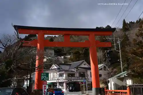 箱根神社の鳥居