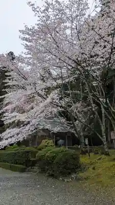 醍醐寺(京都府)