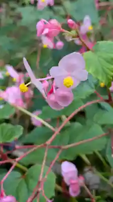 三千院門跡(京都府)