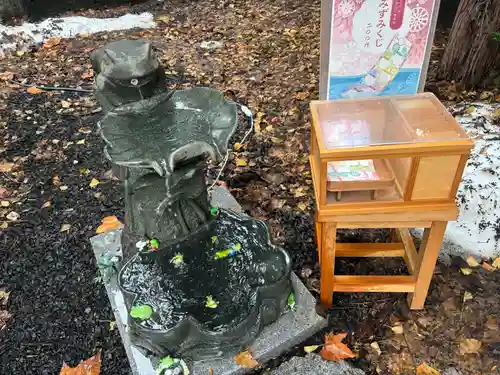 札幌諏訪神社のおみくじ