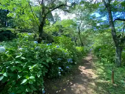 東勝寺宗吾霊堂(千葉県)