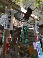 少彦名神社の鳥居