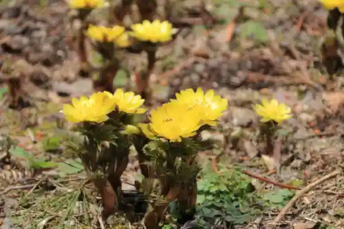 千手院の庭園