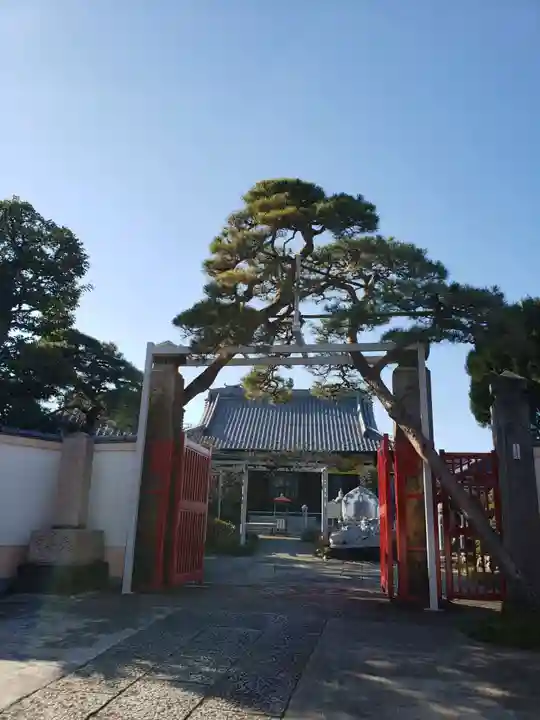 長善寺の山門・神門